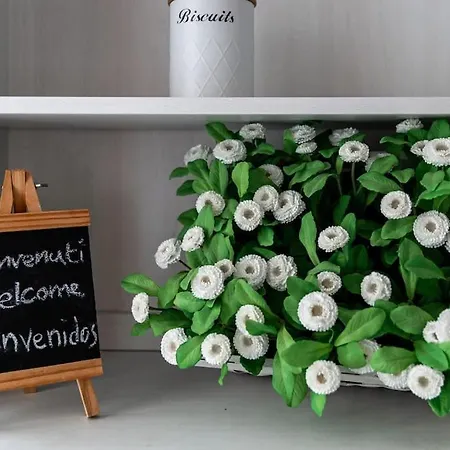 Caterina A 5 Minuti Da Fiere E San Siro Con Wifi-netflix-free Parking * Milaan